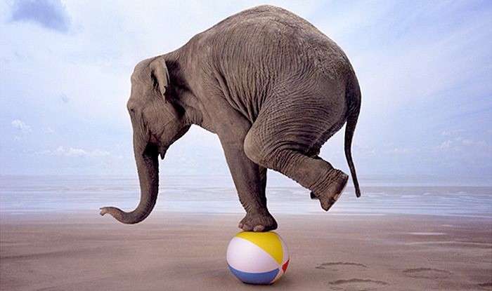 Work Life Balance